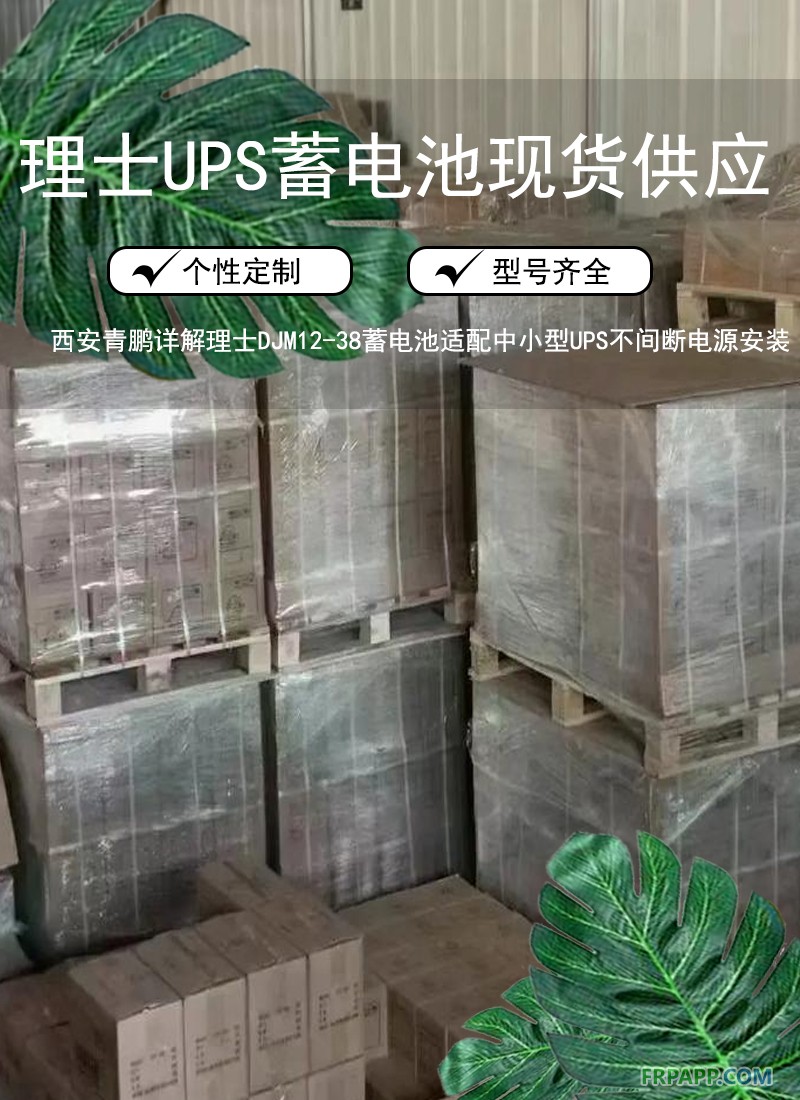 5.西安寫字樓機房UPS電源必備：理士 DJM12-65 UPS蓄電池穩定續航5