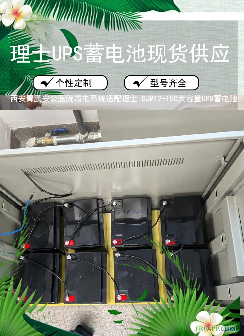8.西安醫院弱電系統適配理士 DJM12-150大容量UPS蓄電池4