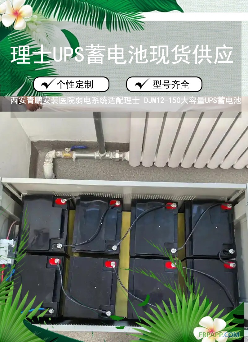 8.西安醫院弱電系統適配理士 DJM12-150大容量UPS蓄電池3