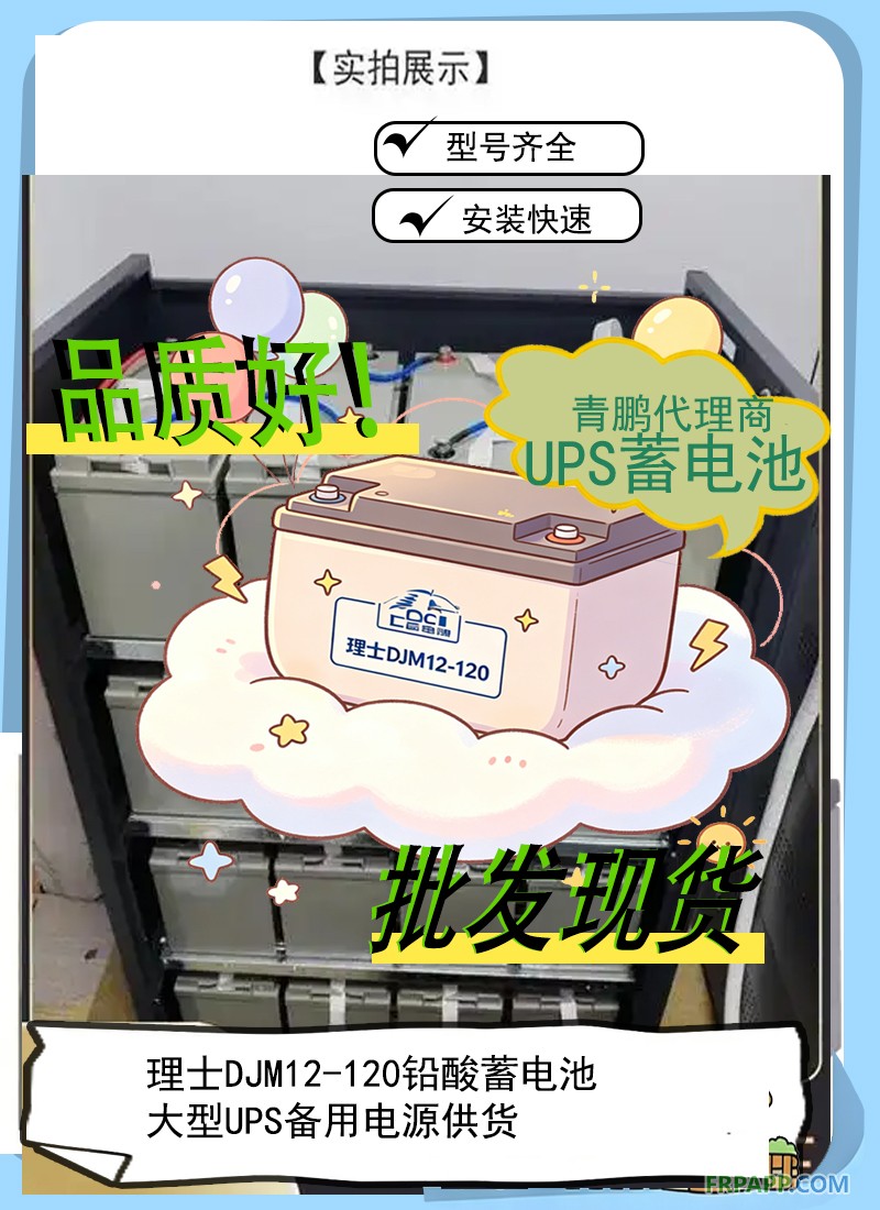 22.理士DJM12-120鉛酸蓄電池大型UPS備用電源供貨6