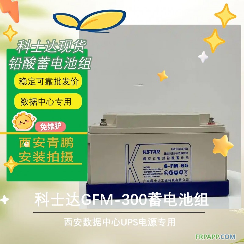 12西安數(shù)據(jù)中心UPS電源科士達(dá)GFM-300蓄電池組2